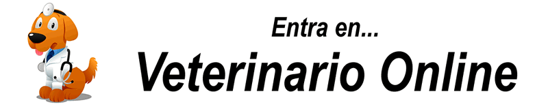 hospital veterinario