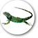 Clinica veterinaria para reptiles en Madrid.