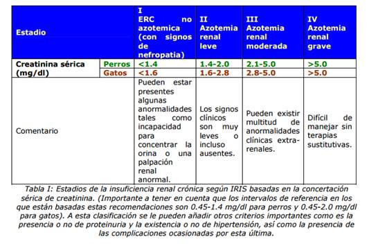 Gastroenterologia y Renal